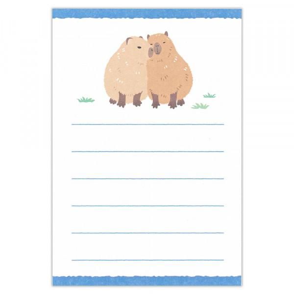 NB/5422401_ข่าวเล็ก Zoom In Animal Capybara/4905260793531 (5 ชุด)
