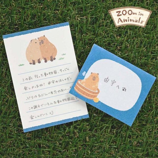 NB/5422401_ข่าวเล็ก Zoom In Animal Capybara/4905260793531 (5 ชุด)