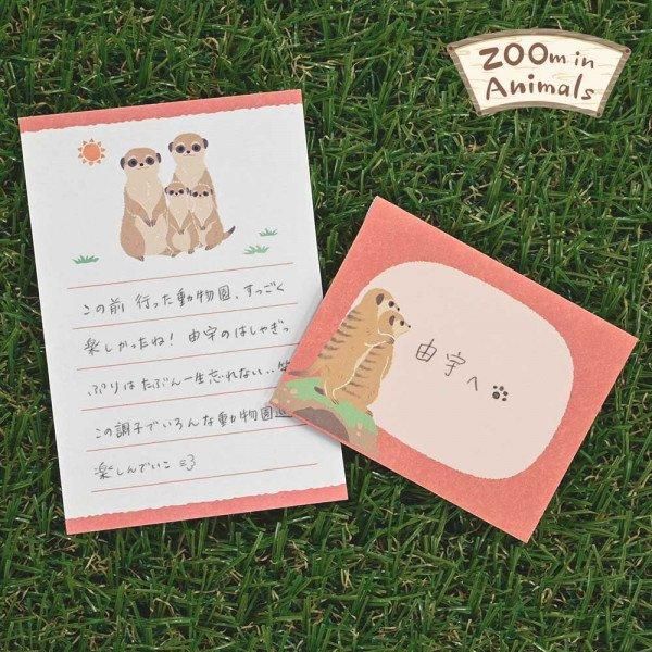 NB/5422403_Small News Zoom In Animale Suricato/4905260793555 (5 set)