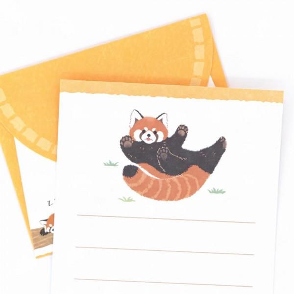 NB/5422406_Small News Zoom in Animal Red Panda/4905260793586 (5 conjuntos)