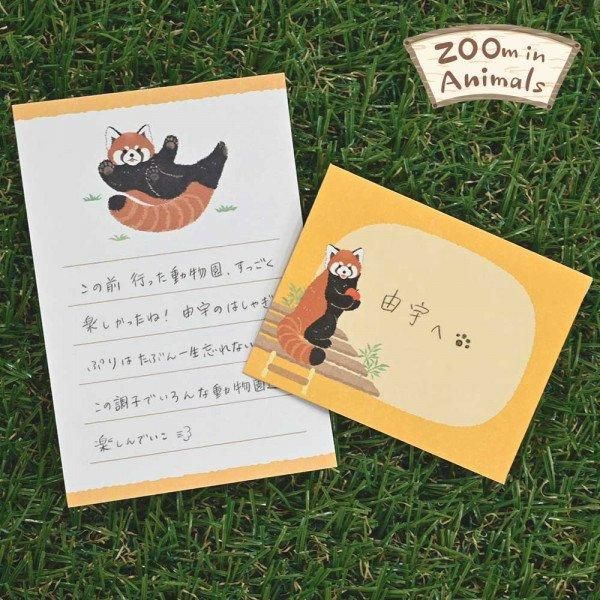 NB/5422406_Small News Zoom in Animal Red Panda/4905260793586 (5 conjuntos)