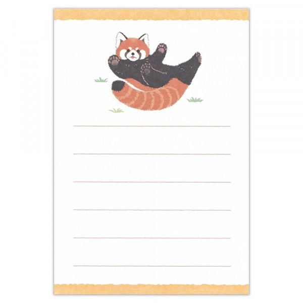 NB/5422406_Small News Zoom in Animal Red Panda/4905260793586 (5 conjuntos)