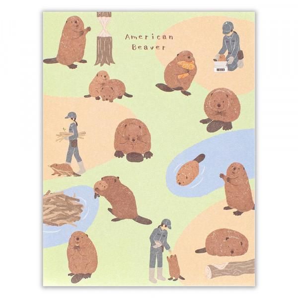 NB/5422205_Memo Zoom in Animal Beaver/4905260794057 (5 juegos)