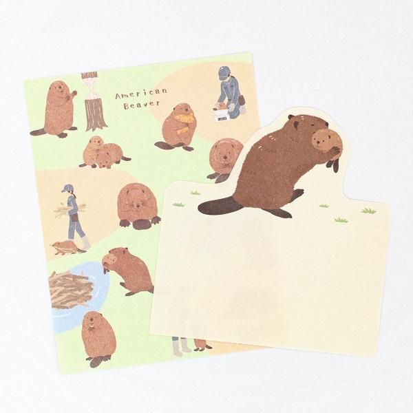 에누비/5422205_메모 줌 인 동물 비버/4905260794057(5세트)