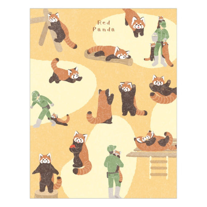 NB/5422206_Memo Zoom in Animal Red Panda/4905260794064 (5 ชุด)