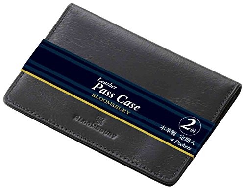 レイメイ パス入 NP8002B レイメイ藤井 4902562432724（10セット）