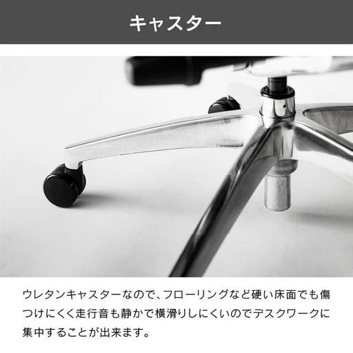 エルゴヒューマン エンジョイ２ ロータイプ