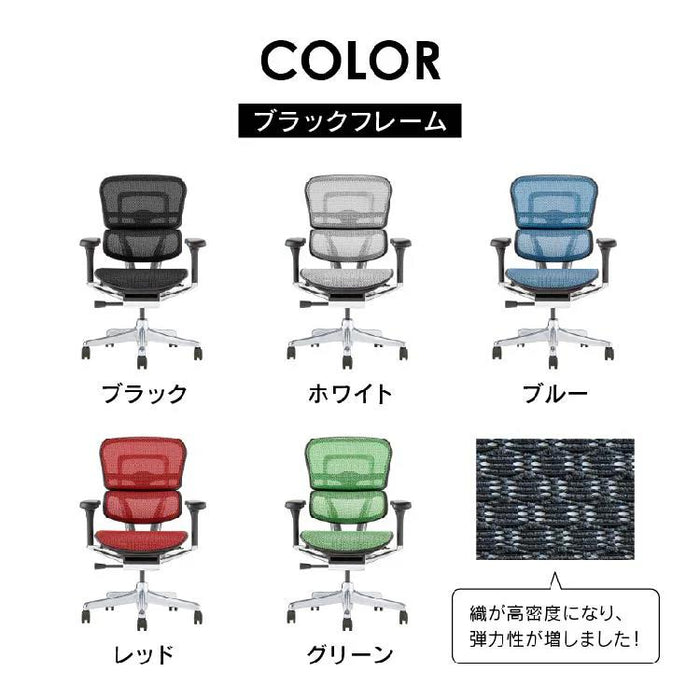 エルゴヒューマン プロ２ ロータイプ