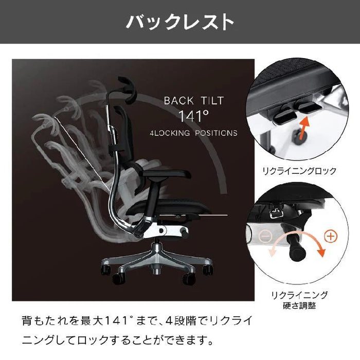 エルゴヒューマン プロ２ ロータイプ