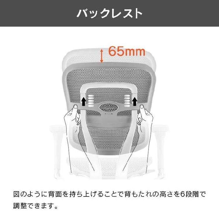 エルゴヒューマン プロ２ ロータイプ