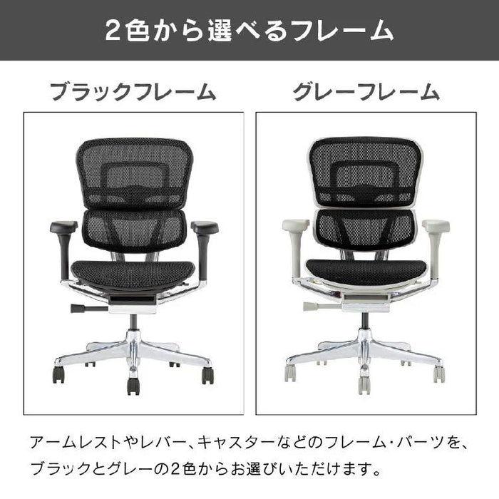 エルゴヒューマン プロ２ ロータイプ