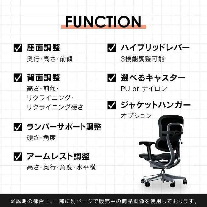 エルゴヒューマン プロ２ ロータイプ