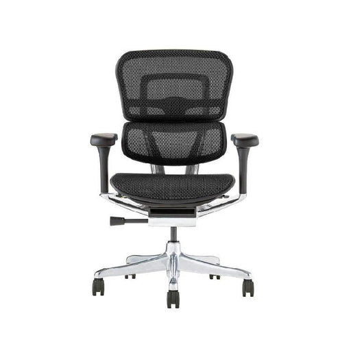 エルゴヒューマン プロ２ ロータイプ