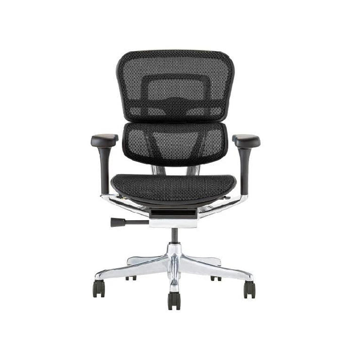 エルゴヒューマン プロ２ ロータイプ