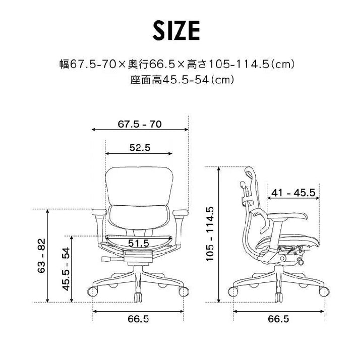 エルゴヒューマン プロ２ ロータイプ