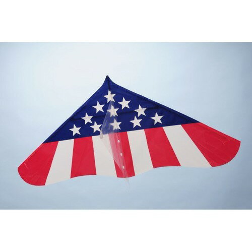 Aozora Gayrakite Americano 4571397651299