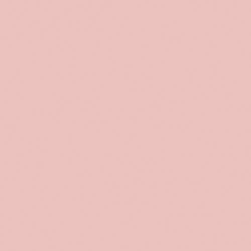 Daio Paper Carta da disegno colorata riciclata taglio 8 10 fogli pesca chiaro CUD 4902011126433