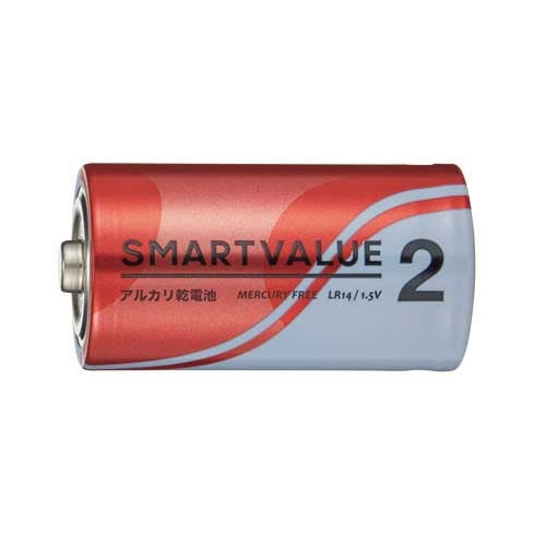 Smart Value-alkalinebatterijen AA x 10 N122J-2P-5 4547345029113