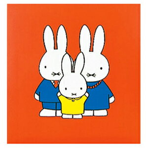 Nakabayashi ナカバヤシ フエルアルバム　コドモ　デイツクブル－ナ　Ｓ　アカ ｱ-SA-121-1