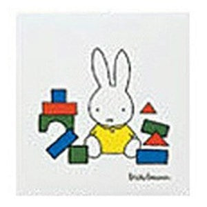 Nakabayashi ナカバヤシ フエルアルバム　コドモ　デイツクブル－ナ　Ｓ　シロ ｱ-SA-121-3