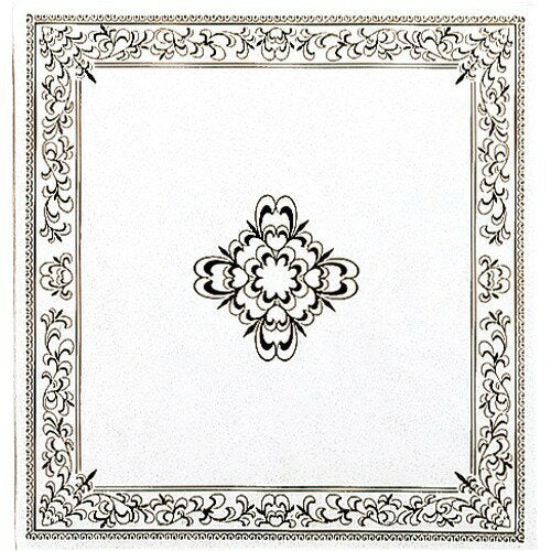 Nakabayashi ナカバヤシ フエルアルバム　Ｓサイズ　ロ－ズ ｱ-SF-5A