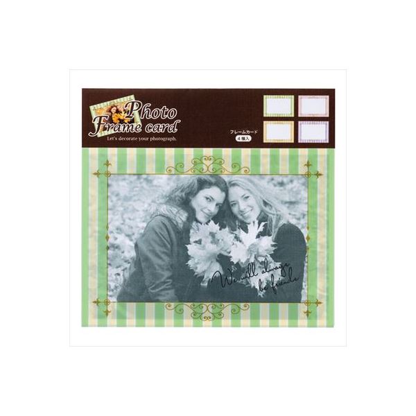 Nakabayashi ナカバヤシ フオトフレ－ムカ－ド４マイクミ／ボ－ダ－ PFC-302-3