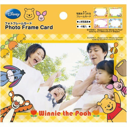 Nakabayashi ナカバヤシ フオトフレ－ムカ－ド４マイクミ／プ－ PFCD-302-2