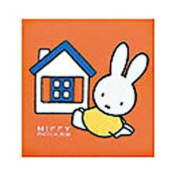 Nakabayashi ナカバヤシ フエル　タンジヨウヨウ（デイツクブル－ナ）レツド ｱ-LB-615-R