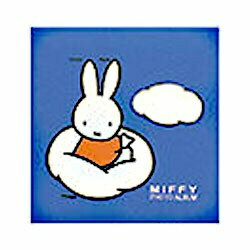 Nakabayashi ナカバヤシ フエル　タンジヨウヨウ（デイツクブル－ナ）ブル－ ｱ-LB-615-B