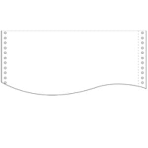 Nakabayashi ナカバヤシ ストツクフオ－ム　コシ　１５１１タイプ　２０００マイ BS-M1-1P-R