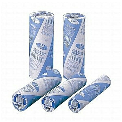 Nakabayashi ナカバヤシ フアクシミリ／カンネツキロクシ／２５７＊１００＊１／Ａ FXR-257S-1/A