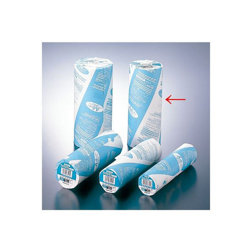 Nakabayashi ナカバヤシ フアクシミリ／カンネツキロクシ／２１６＊１００＊１ FXR-216S-1