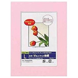 Nakabayashi ナカバヤシ カラーＶカットマットダイシ／Ｌ／ピンク／Ｖ DGVM-L-P/V