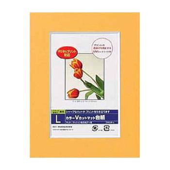 Nakabayashi ナカバヤシ カラーＶカットマットダイシ／Ｌ／オレンジ／Ｖ DGVM-L-O/V