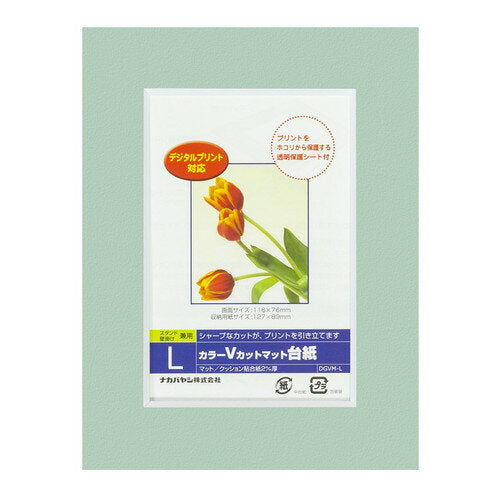 Nakabayashi ナカバヤシ カラーＶカットマットダイシ／Ｌ／グリーン／Ｖ DGVM-L-G/V
