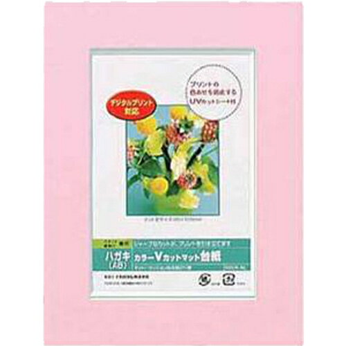 Nakabayashi ナカバヤシ カラーＶカットマットダイシ／Ａ６／ピンク／Ｖ DGVM-A6-P/V