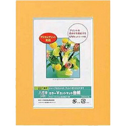 Nakabayashi ナカバヤシ カラーＶカットマットダイシ／Ａ６／オレンジ／Ｖ DGVM-A6-O/V