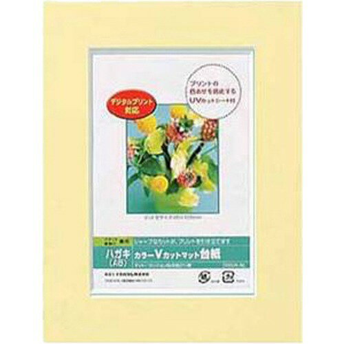 Nakabayashi ナカバヤシ カラーＶカットマットダイシ／Ａ６／イエロー／Ｖ DGVM-A6-Y/V