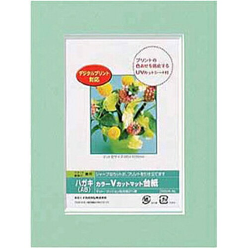 Nakabayashi ナカバヤシ カラーＶカットマットダイシ／Ａ６／グリーン／Ｖ DGVM-A6-G/V