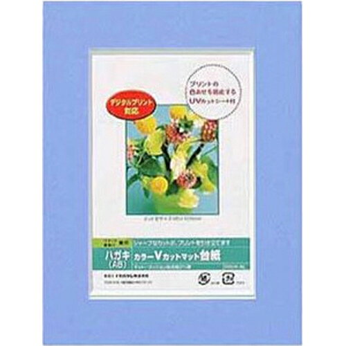 Nakabayashi ナカバヤシ カラーＶカットマットダイシ／Ａ６／ブルー／Ｖ DGVM-A6-B/V