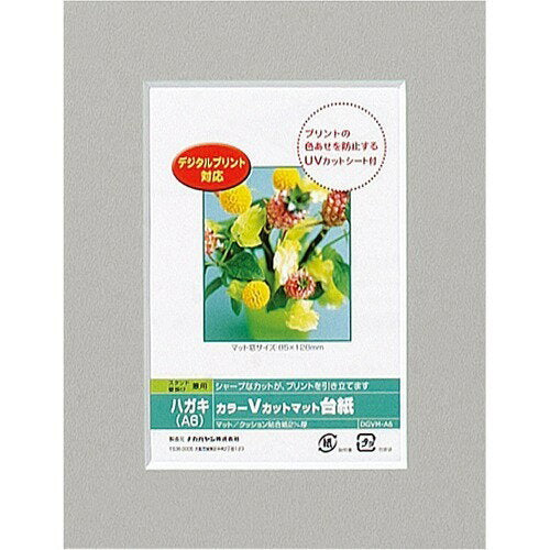 Nakabayashi ナカバヤシ カラーＶカットマットダイシ／Ａ６／グレー／Ｖ DGVM-A6-N/V