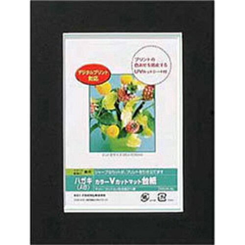 Nakabayashi ナカバヤシ カラーＶカットマットダイシ／Ａ６／ブラック／Ｖ DGVM-A6-D/V