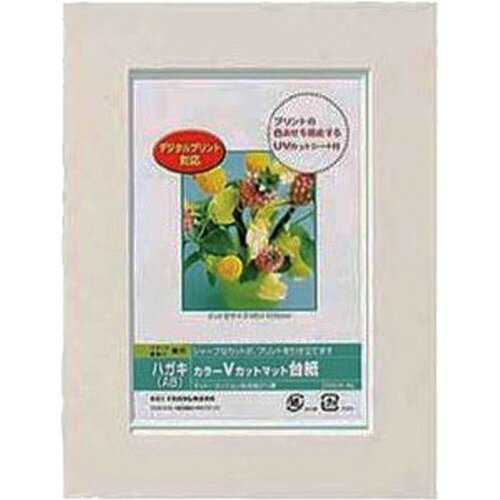 Nakabayashi ナカバヤシ カラーＶカットマットダイシ／Ａ６／ホワイト／Ｖ DGVM-A6-W/V