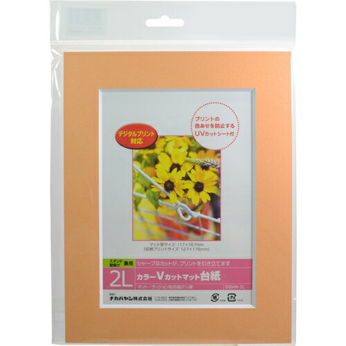 Nakabayashi ナカバヤシ カラーＶカットマットダイシ／２Ｌ／オレンジ／Ｖ DGVM-2L-O/V
