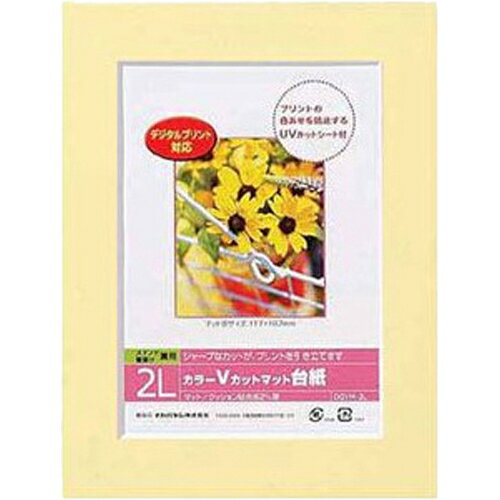 Nakabayashi ナカバヤシ カラーＶカットマットダイシ／２Ｌ／イエロー／Ｖ DGVM-2L-Y/V