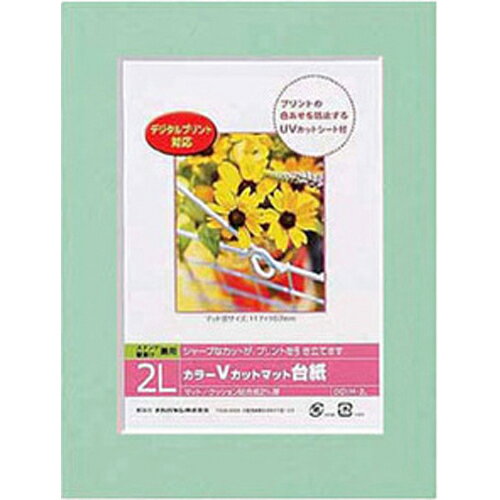 Nakabayashi ナカバヤシ カラーＶカットマットダイシ／２Ｌ／グリーン／Ｖ DGVM-2L-G/V