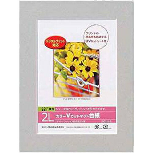 Nakabayashi ナカバヤシ カラーＶカットマットダイシ／２Ｌ／グレー／Ｖ DGVM-2L-N/V