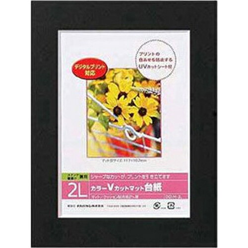 Nakabayashi ナカバヤシ カラーＶカットマットダイシ／２Ｌ／ブラック／Ｖ DGVM-2L-D/V