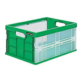 Nakabayashi ナカバヤシ キヤパテイ　フレツクスコンテナ－　ソリツド３　ミドリ CFC-301G