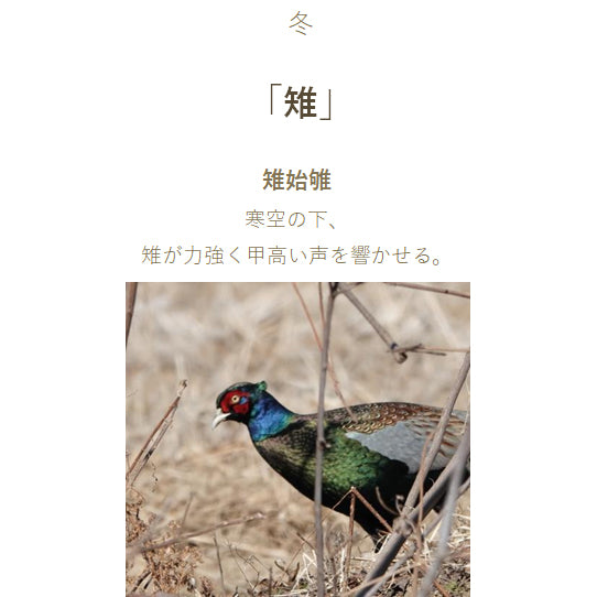 Sailor Sailor Füllfederhalter SHIKIORI – Shiki Ori – Noyama Uta Flasche Tinte für Füllfederhalter 20 ml Fasan 131008240